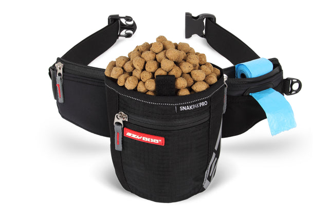 Hands-free EzyDog SnakPak Pro Black with waterproof lining, magnetic closures, and reflective design for pet-friendly adventures.