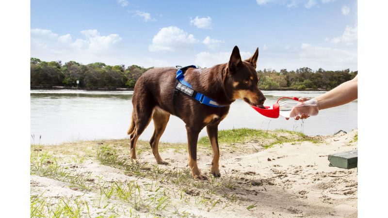 Red portable dog water bottle with 600mL capacity, BPA-free, leakproof, and a flexible lid for easy drinking.