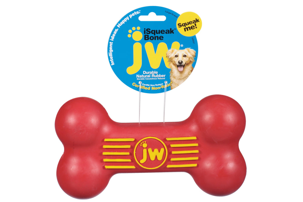 Large JW iSqueak Bone dog toy in vibrant colors, durable rubber, vanilla scented, perfect for chewing and squeaky fun.