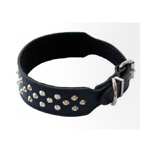 Stylish leather collar for Staffordshire Bull Terriers with studs, measuring 50cm, combining comfort and durability.