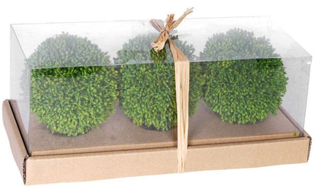 Set of 3 decorative topiary balls in a box, 10.16 inches, perfect for enhancing indoor or outdoor home décor.