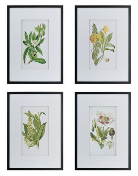 Set of four elegant botanical prints, perfect for enhancing any space with natural beauty and sophistication.