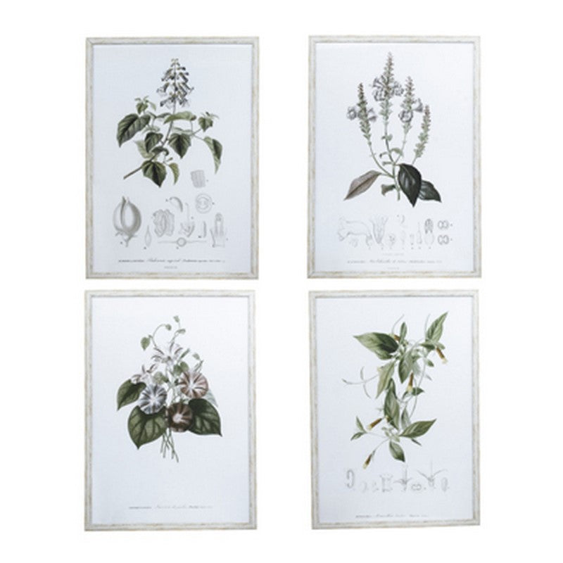 Set of 4 framed botanical art prints featuring vibrant flora, perfect for enhancing any indoor space's decor.