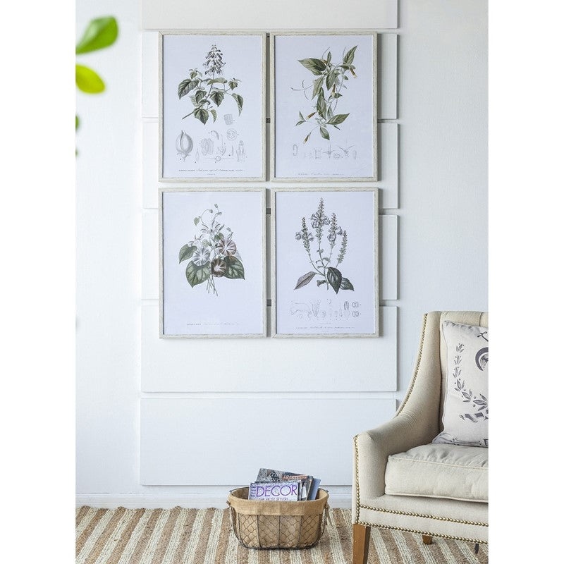 Set of 4 framed botanical prints featuring vibrant flora, perfect for enhancing any living space with nature-inspired decor.