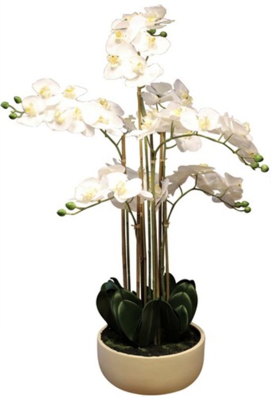 Lifelike white orchid in Caesarstone pot, perfect for adding elegance to any decor without maintenance.