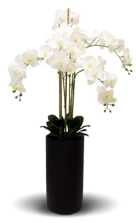 Realistic white orchid spray in a tall black pot, 135cm, adding elegance and sophistication to any decor.