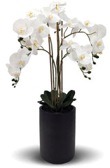 Lifelike white artificial orchid with 5 sprays in a tall black pot, perfect for elegant home decor and easy maintenance.