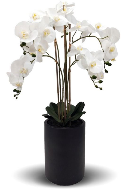 Lifelike white artificial orchid with 5 sprays in a tall black pot, perfect for elegant home decor and easy maintenance.