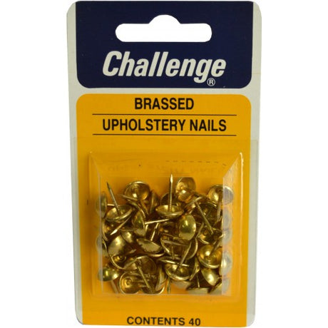 Brassed upholstery nails with domed heads, 10mm head, 13mm pin, ideal for high-quality finishing in upholstery projects.