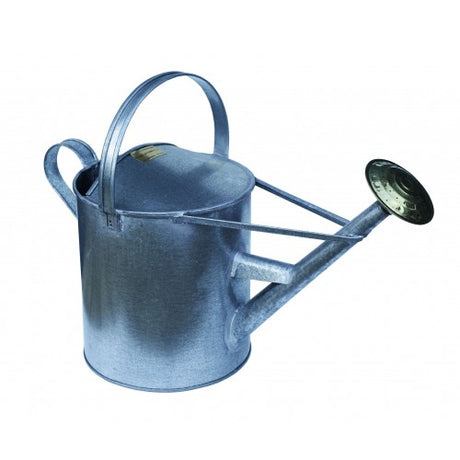 Sturdy 10-litre galvanized steel water can, perfect for efficient indoor and outdoor gardening in New Zealand.