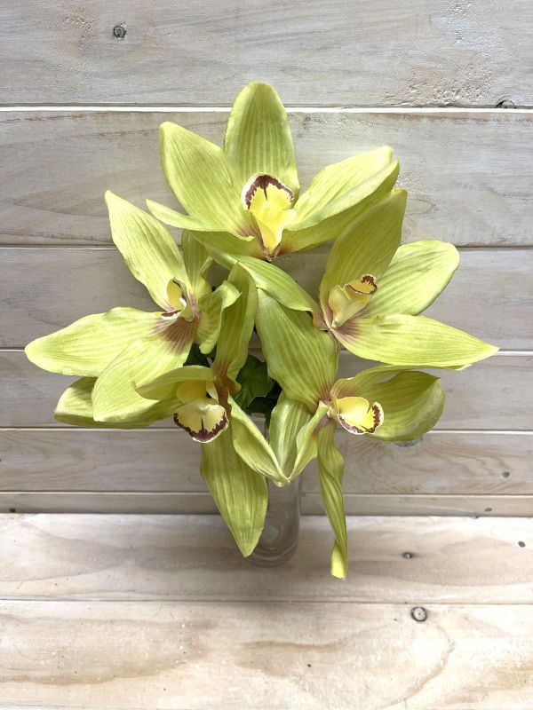 Lush artificial Cymbidium orchid bush in green, perfect for adding tropical elegance to any indoor space.