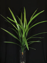 Lifelike large green Artificial Symbidium Leaf Bush, ideal for enhancing home decor with low-maintenance elegance.