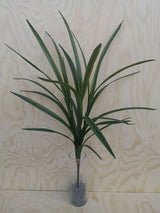 Lush green Artificial Symbidium Leaf Bush with realistic design, perfect for enhancing home or office decor.