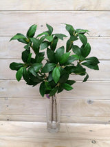 Artificial green osmanthus leaf bundle, perfect for stylish home decor, floral arrangements, and events.
