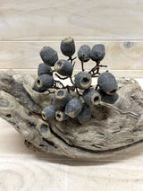Elegant artificial black eucalyptus nut bundle, perfect for stylish home decor and versatile arrangements.