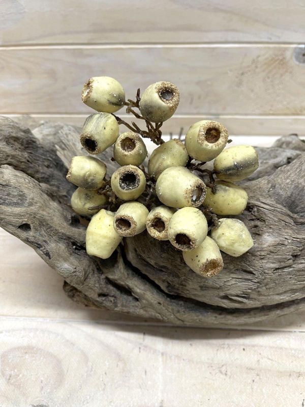 Artificial cream eucalyptus nut bundle, perfect for elegant home decor, arrangements, and adding a serene, natural touch.