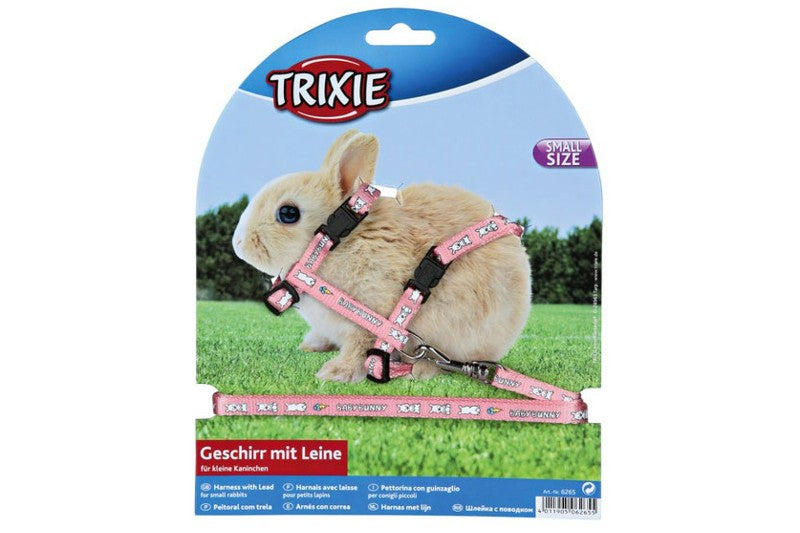 Baby Rabbit Harness in vibrant colors, designed for small rabbits with adjustable lead for safe outdoor exploration.