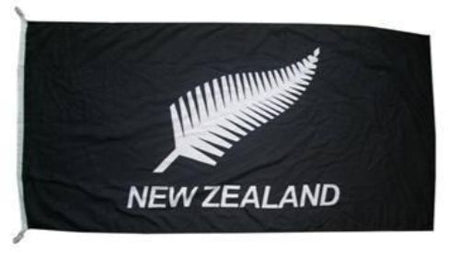 Silver Fern flag, 90x150CM, vibrant design; perfect for showcasing Kiwi pride indoors and outdoors.