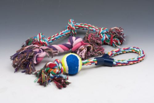 Colorful set of 3 durable 40cm cotton tug ropes for interactive play and healthy exercise for small to medium dogs.