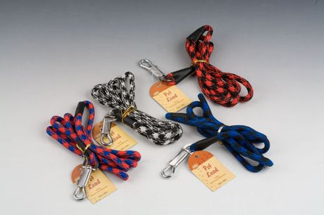 Durable 162cm polypropylene dog leashes in assorted colors, perfect for small to medium-sized dogs during walks and training.