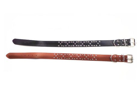 Vibrant set of 2 assorted 76cm dog collars for comfort and style, perfect for daily walks and all breeds.