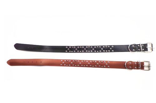 Vibrant set of 2 assorted 76cm dog collars for comfort and style, perfect for daily walks and all breeds.
