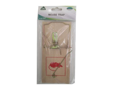 Efficient 17.5cm mouse traps (3 units) for humane rodent control in homes and workplaces, easy to set up and durable.