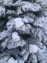 8' Heavy Snow Slim Pine Tree with 600 warm white LED lights and 712 realistic tips, perfect for cozy holiday decor.
