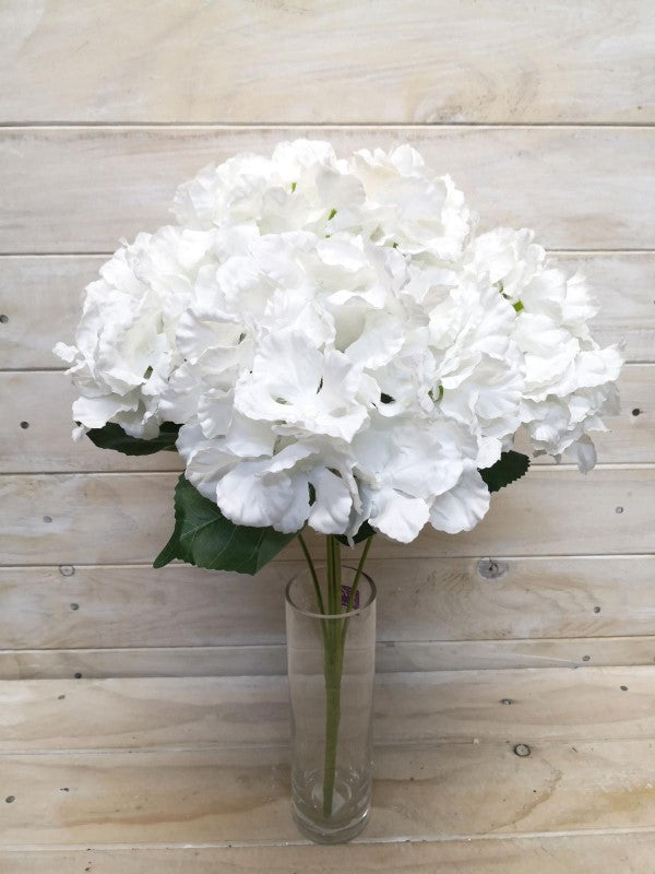 Lush Large White Hydrangea Bush with creamy blooms, perfect for elegant landscaping and enhancing outdoor spaces.