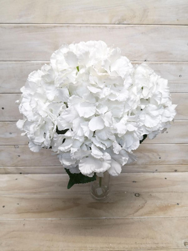 Lush Large White Hydrangea Bush with creamy blooms, perfect for enhancing gardens and creating serene outdoor spaces.