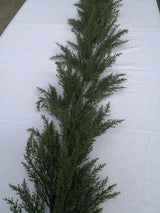 Lifelike 200 cm artificial cypress garland, perfect for indoor/outdoor decor, UV resistant, enhances any space elegantly.