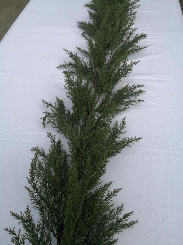 Lifelike 200 cm artificial cypress garland, perfect for indoor/outdoor decor, UV resistant, enhances any space elegantly.