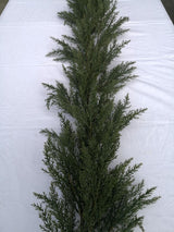 Lifelike 2-meter artificial cypress garland, perfect for indoor/outdoor decor, adding vibrant greenery with no maintenance.
