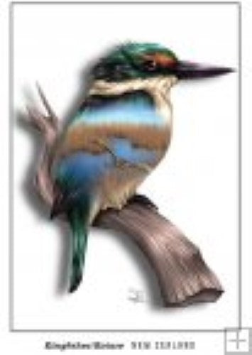 Vibrant Kingfisher postcard by Sophie Blokker, celebrating New Zealand's wildlife with stunning colors and artistic flair.