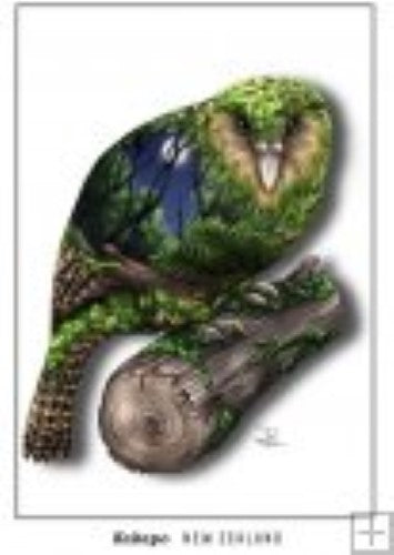 Sophie Blokker Kakapo postcard featuring vibrant artwork of the endangered New Zealand parrot, perfect for notes or collectibles.