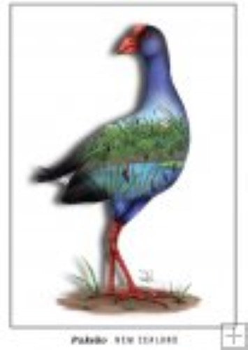 Sophie Blokker postcard featuring a vibrant Pukeko, showcasing New Zealand's wildlife art, ideal for mailing or framing.