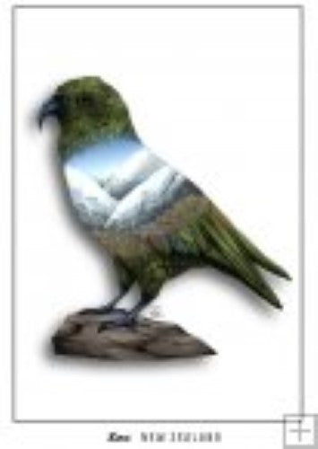 Colorful Kea postcard by Sophie Blokker, showcasing New Zealand wildlife art on durable cardstock. Perfect for gifts or framing.