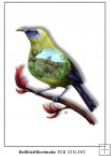 Sophie Blokker Kiwiana Art Postcard featuring a vibrant Bellbird, capturing New Zealand's natural beauty and wildlife charm.