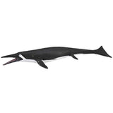 Large hand-painted CollectA Shastasaurus figurine, showcasing intricate black and white details of this Triassic marine reptile.