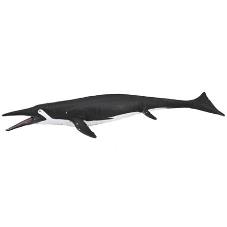 Large hand-painted CollectA Shastasaurus figurine, showcasing intricate black and white details of this Triassic marine reptile.