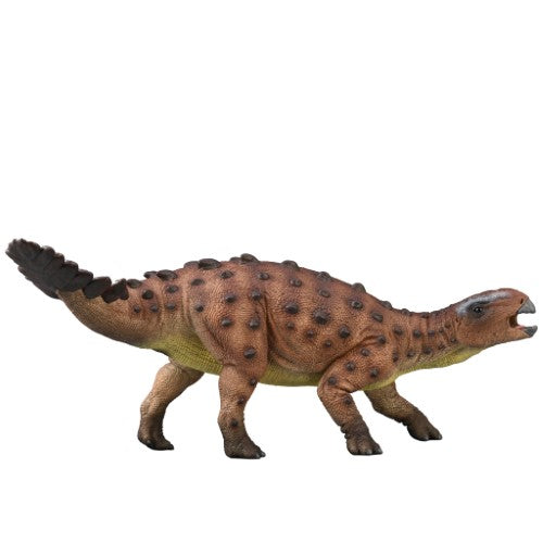 Hand-painted CollectA Stegouros 1:6 scale figurine featuring detailed design and unique tail club, ideal for dinosaur enthusiasts.