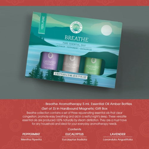 Pack of 3 Breathe Essential Oils: Peppermint, Eucalyptus, and Lavender in 5ml bottles for congestion relief and better sleep.
