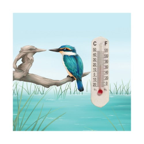 Ceramic thermometer magnet featuring a mirrored kingfisher design, blending functionality with Kiwiana artistry.