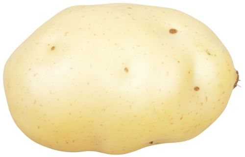 Lifelike artificial potato, perfect for kitchen decor, food photography, and teaching about healthy eating.