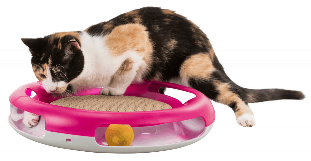 Interactive Trixie Race & Scratch cat toy with unscrewable ball for catnip, non-slip rubber feet, and removable scratching cardboard.