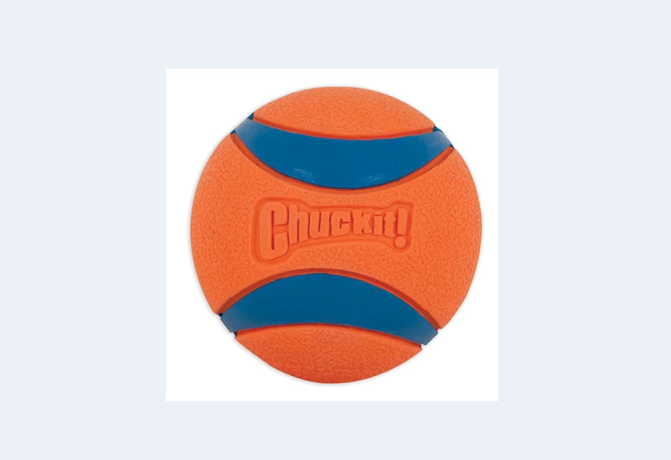 Vibrant Chuckit! Ultra Ball XL for dogs, designed for high bounce, durability, and visibility in fetch games on land or water.