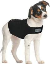 ZenDog Compression Shirt XS for anxious dogs, providing calming pressure therapy for stress relief during stressful situations.