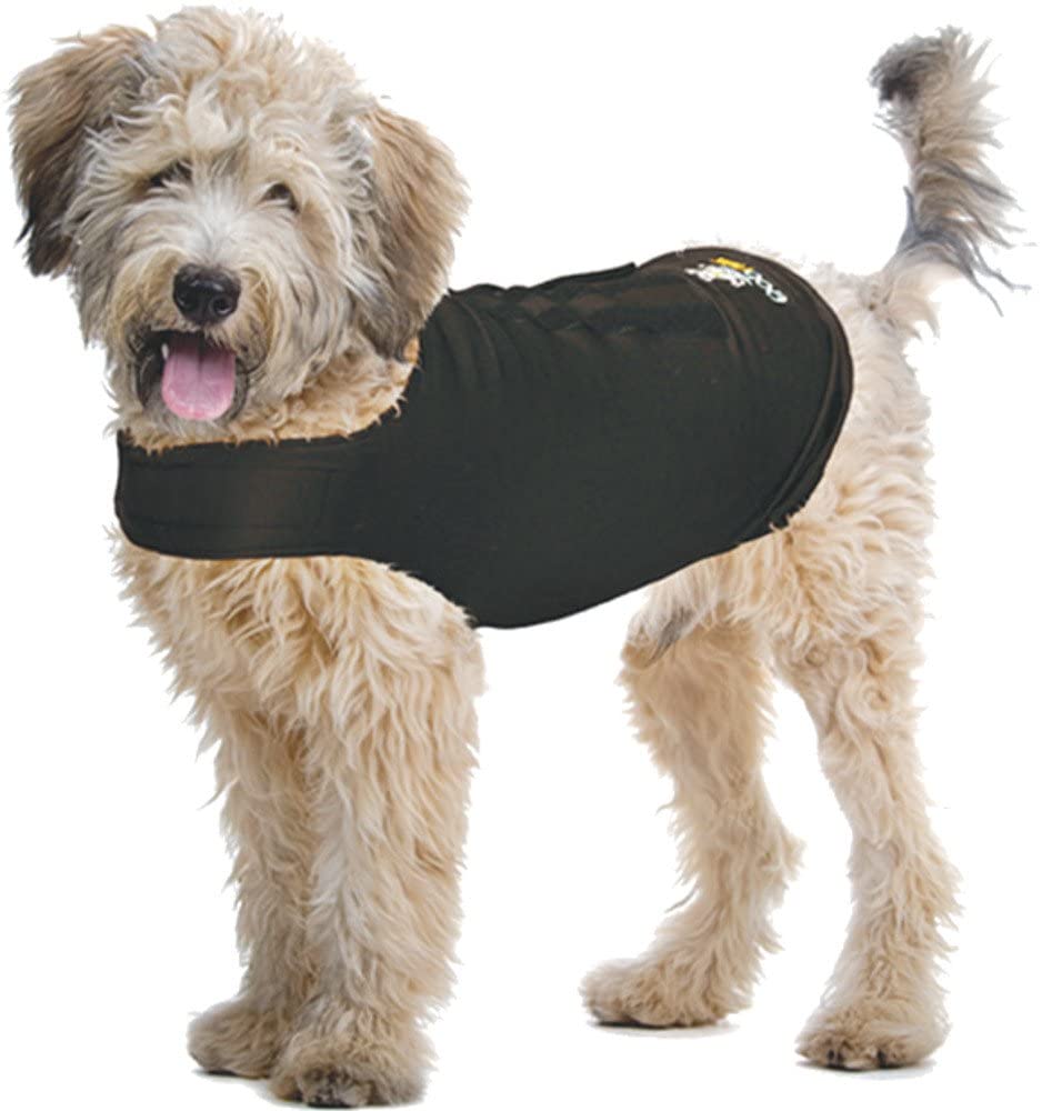 ZenDog Compression Shirt XS for anxious dogs, offering drug-free calming pressure and breathable, stretchy fabric.