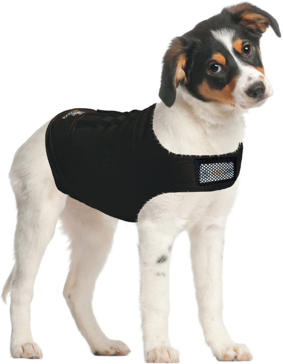 Zendog Compression Shirt for dogs, providing calming pressure for anxiety relief during stressful situations like storms or vet visits.