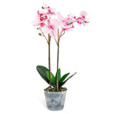 Pink and white artificial orchid in a 100mm wide vase, 500mm tall, ideal for adding a tropical touch to any space.